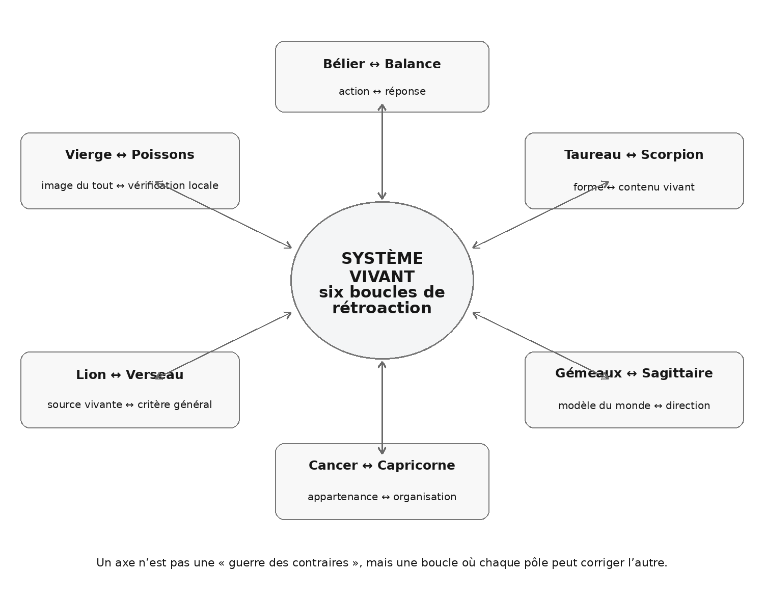 Les six axes comme six boucles nécessaires à un système vivant complexe.